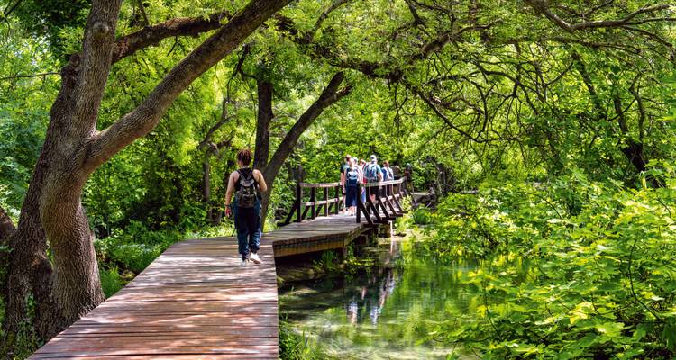 Les randonneurs traversent une passerelle en bois à travers une forêt verte luxuriante au-dessus des eaux claires d'un ruisseau.
