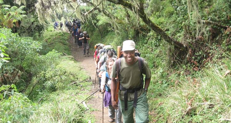 Excursionistas en un sendero de bosque verde y exuberante.