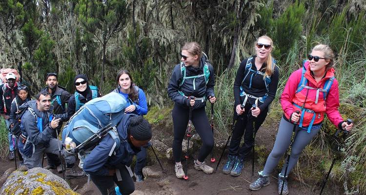 Grupo de senderismo tomando un descanso en un sendero del bosque.