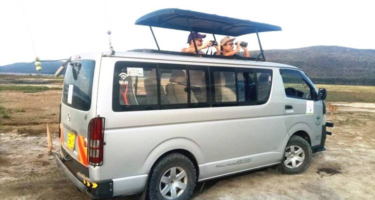 People observing wildlife from a safari van with a pop-up roof.