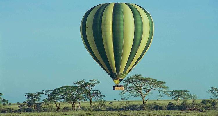 A hot air balloon floating over the savannah at sunrise.