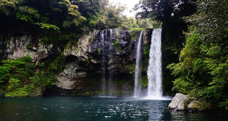 Cascada que cae en una piscina natural rodeada de exuberante vegetación.