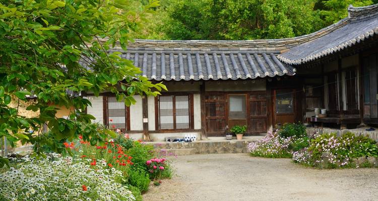Maison traditionnelle coréenne entourée de fleurs et de verdure.