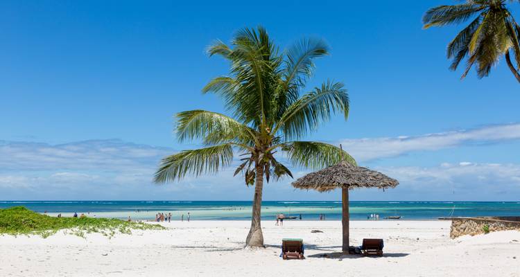 Zandstrand met een palmboom en ligstoelen met uitzicht op de oceaan.
