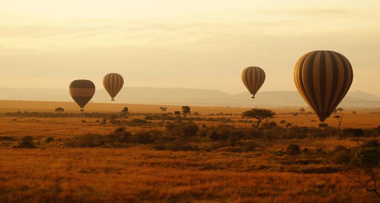 Heteluchtballonnen boven een savannelandschap tijdens zonsopgang.