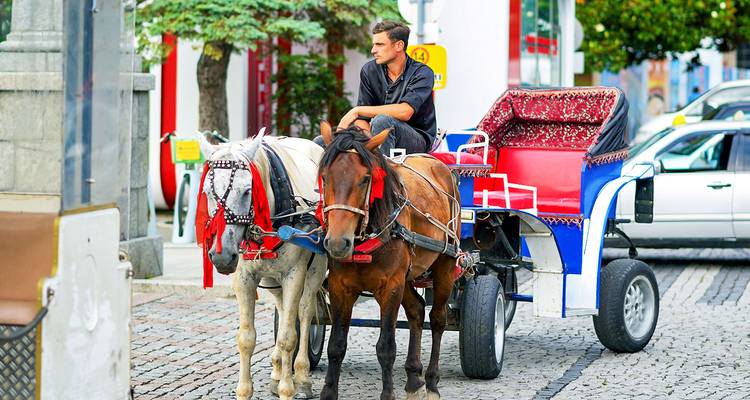 Man met een door paarden getrokken koets geparkeerd op een kinderkoppenstraat.