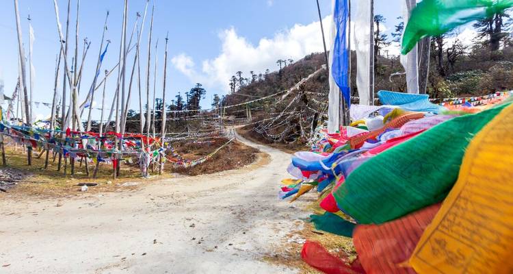 Kleurrijke gebedsvlaggen langs een landelijke bergweg.
