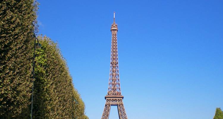 La Tour Eiffel s'élevant contre un ciel bleu éclatant avec des arbres soigneusement entretenus encadrant la scène.