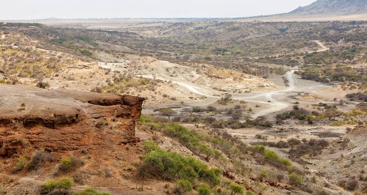 Paisaje árido y erosionado con caminos de tierra sinuosos y matorrales dispersos en un amplio valle.