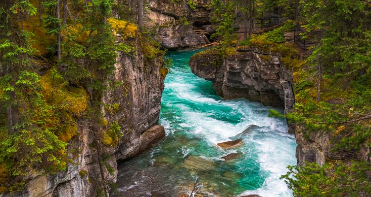 Smalle canyon met levendige turkooise rapids die door ruige rotswanden en dennenbos snijden.