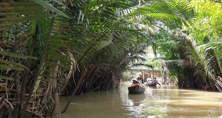 Personas remando a través de manglares tropicales en un bote.