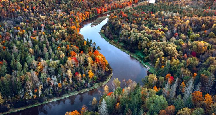 Schilderachtige rivier die kronkelt door een bos met herfstkleuren.