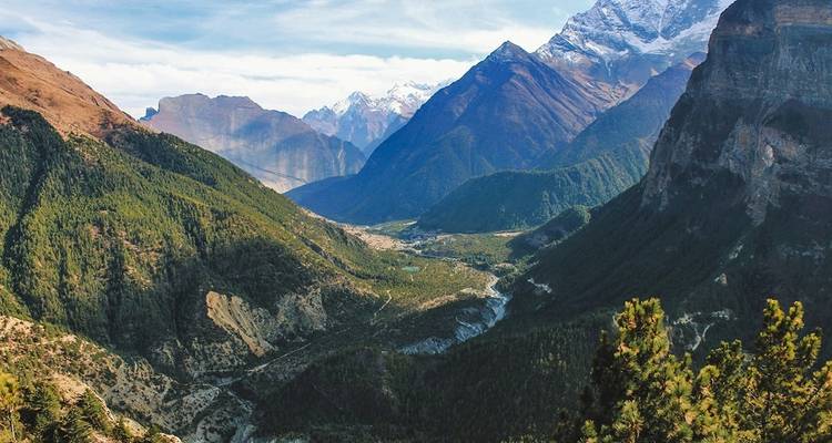 Talblick mit üppigen Wäldern und fernen schneebedeckten Bergen.