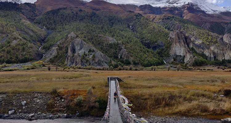 Hängebrücke, die zu grünen Bergen und Wald unter einem klaren Himmel führt.