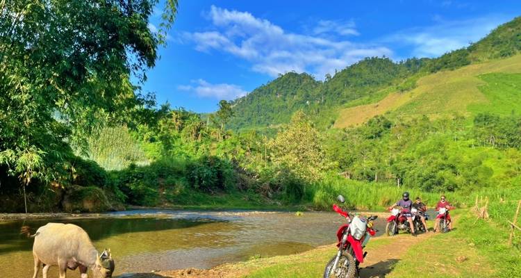 Motorradfahrer neben einem flachen Bach mit üppigem Grün rundherum.