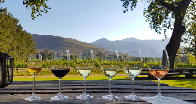Six verres à vin de couleurs variées sur une table avec un vignoble et des montagnes en arrière-plan.
