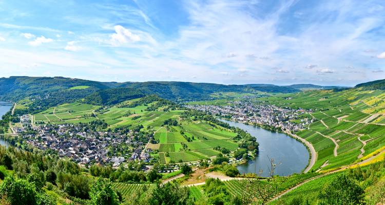 Vue panoramique des vignobles et d'une rivière serpentant à travers les collines.