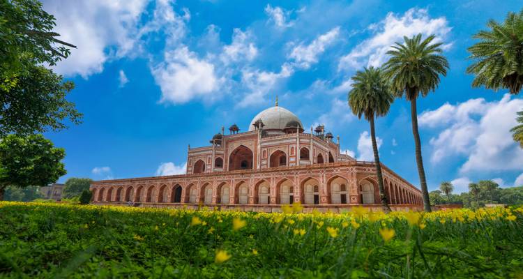 Üppiger grüner Vordergrund aus Blumen, der das Humayun-Mausoleum unter einem leuchtend blauen Himmel mit flauschigen Wolken umrahmt