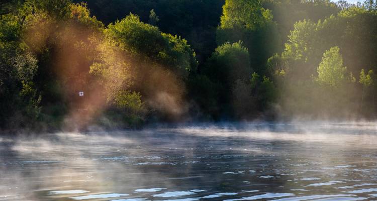 Rivière avec de la brume qui s'élève et un arrière-plan boisé.
