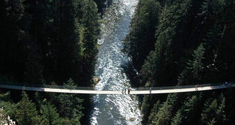 <p>Un pont suspendu enjambe un profond canyon boisé avec une rivière tumultueuse bien au-dessous.</p>