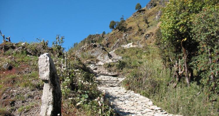 Stone path ascending a hill with trees and sky.