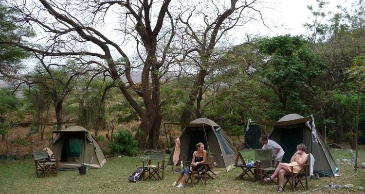 Kampeerders die ontspannen buiten tenten in een bosrijk gebied.