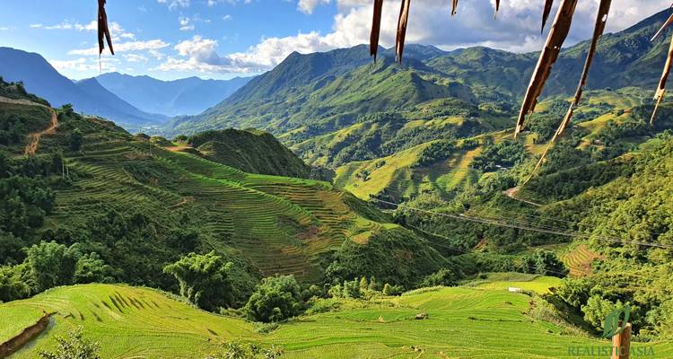 Üppige grüne Terrassenfelder in einem Tal mit Bergen im Hintergrund.