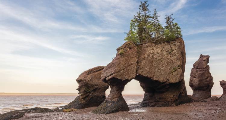 Les formations rocheuses en grès érodé connues sous le nom de Rochers de Hopewell se dressent sur le fond vaseux de la Baie de Fundy à marée basse.