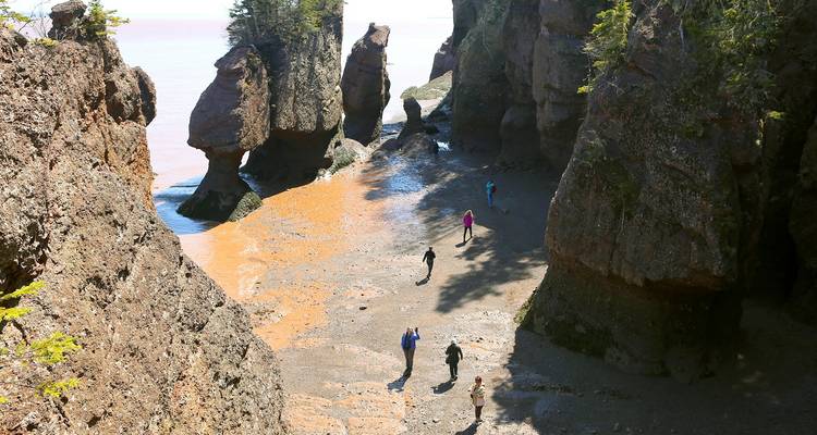 Les visiteurs traversent les Rochers de Hopewell, sculptés par l'océan, à marée basse entre des falaises de grès imposantes.