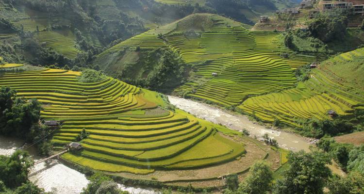 Lebendige grüne Reisterrassen mit einem Fluss, der durch das Tal fließt.