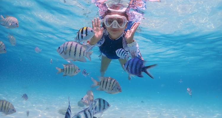 Unterwasserbild einer Person beim Schnorcheln, umgeben von bunten Fischen.