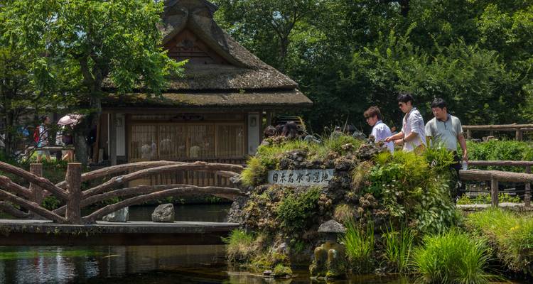 Los visitantes asoman la cabeza en un manantial cristalino junto a una cabaña japonesa con techo de paja y un puente de madera rústica.
