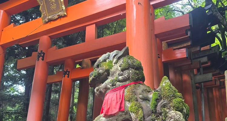 Estatua de un zorro guardián cubierto de musgo bajo brillantes puertas torii rojo bermellón en el Santuario Fushimi Inari en Kioto.