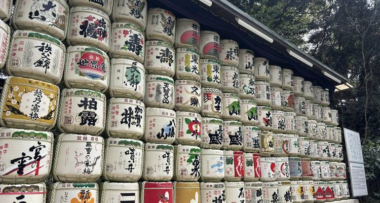 Pared llena de barriles de sake decorativos con etiquetas de kanji coloridas en el Santuario Meiji de Tokio.