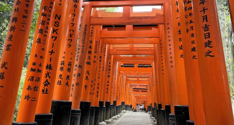 Interminable túnel de puertas torii de color bermellón con inscripciones en japonés en Fushimi Inari que se extiende hacia la distancia.