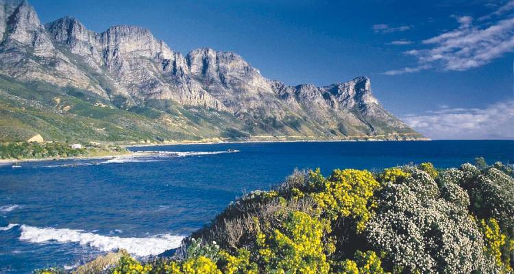 Dramatische Küstenberge, die in ein tiefblaues Meer abfallen, mit blühenden Sträuchern im Vordergrund