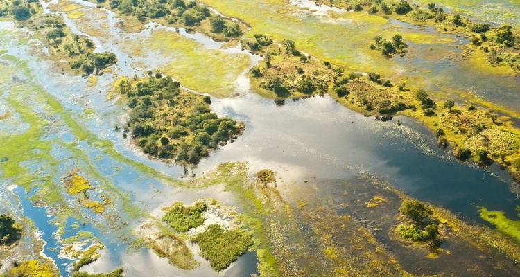Mosaïque aérienne de canaux d'eau sinueux et d'îles luxuriantes dans le delta de l'Okavango.