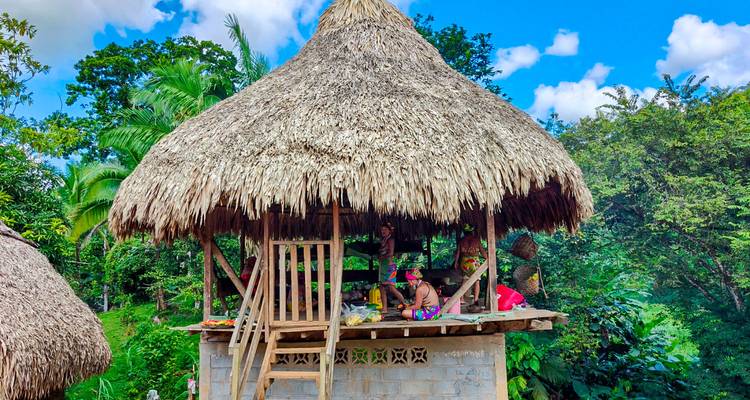 Estructura estilo casa del árbol con techo de paja ubicada en exuberante vegetación.