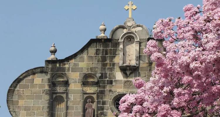 Une façade d'église historique avec un arbre à fleurs roses devant.