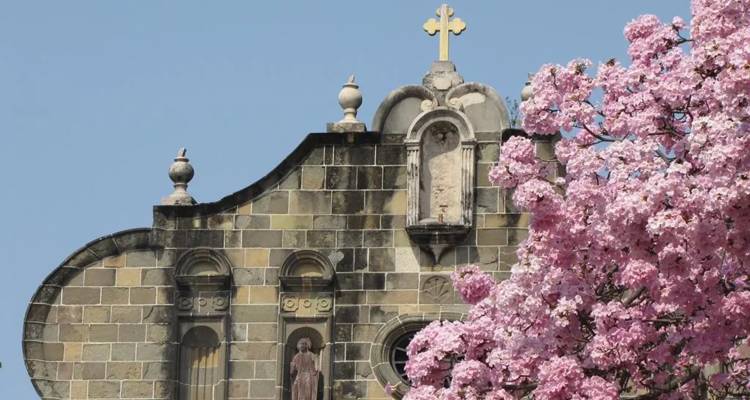 Gros plan de la façade en pierre d'une église historique surmontée d'une croix à côté d'un arbre en fleur rose vif sur un ciel bleu clair.
