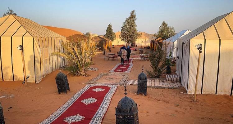 Luxuriöse Wüsten-Campinganlage mit Zelten und roten Teppichen.