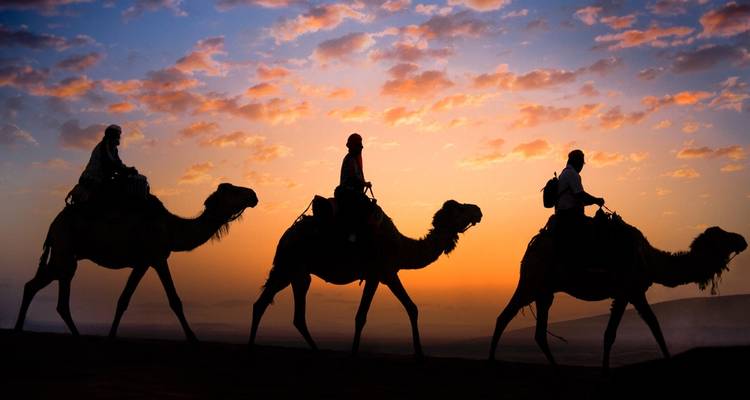 Silhouette of people riding camels during a colorful sunset.