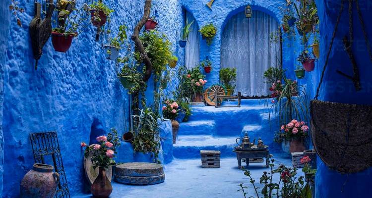 Levendige blauwe steeg in Chefchaouen vol met planten.