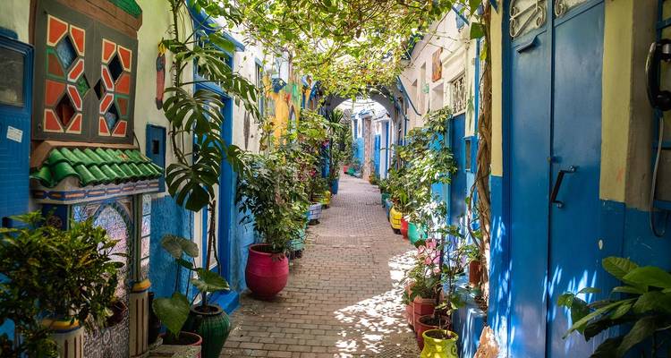 Charming street with colorful bazaar and lush greenery overhead.