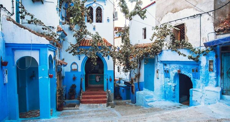 Charming blue houses with intricate designs and greenery.