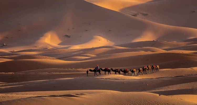 Kameelprocessie door uitgestrekte woestijnduinen.
