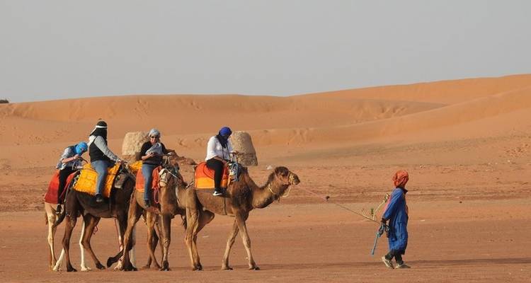 Camels and riders in a desert landscape.