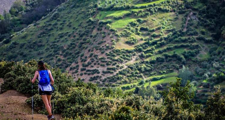Persoon die wandelt met wandelstokken in een groen landschap.