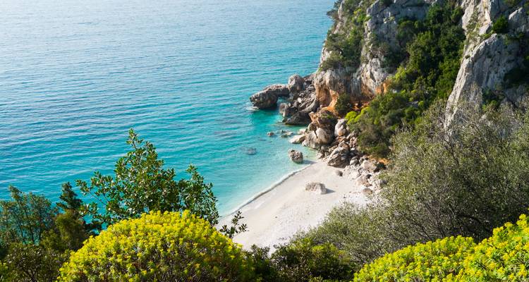 Vue d'une plage isolée aux eaux bleues cristallines.