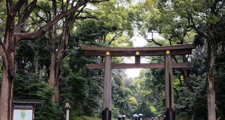 Torii-Tor auf einem üppig grünen Waldweg mit Menschen, die Regenschirme halten.